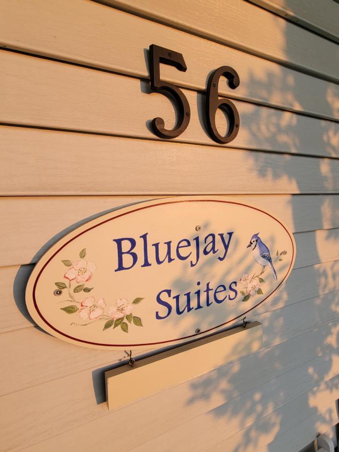 Bluejay Suites B&B Whitehorse Buitenkant foto